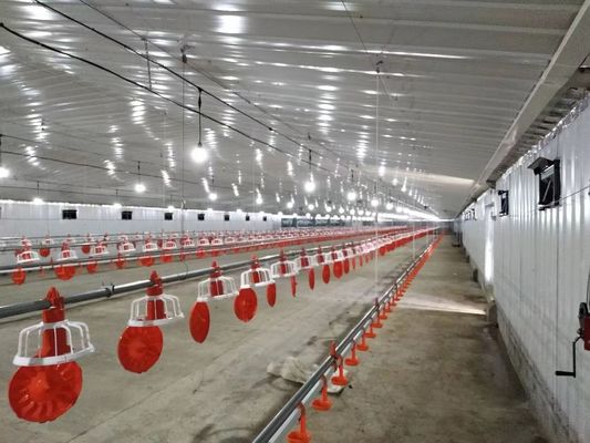 Galvanizli Çelik Yapı Tavuk Evi Tavuk Kulübü Hazırlıklı Çiftlik Binaları Özel