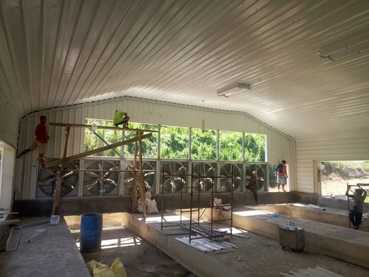 Prefabik Hafif Çelik Yapı Tavuk Evi Galvanizli Kaplama Çelik Çerçeve Tavuk Kulübü