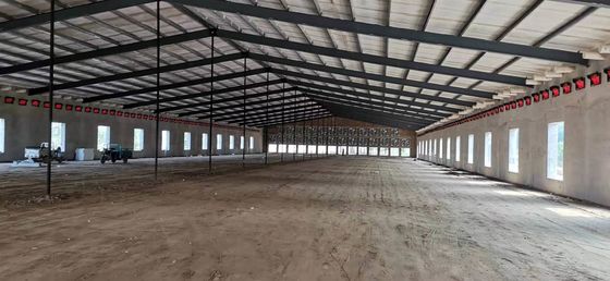 Prefabrik Çelik Yapı Tavuk evi Q235B Q355B Çelik Çerçeve Tavuk evi