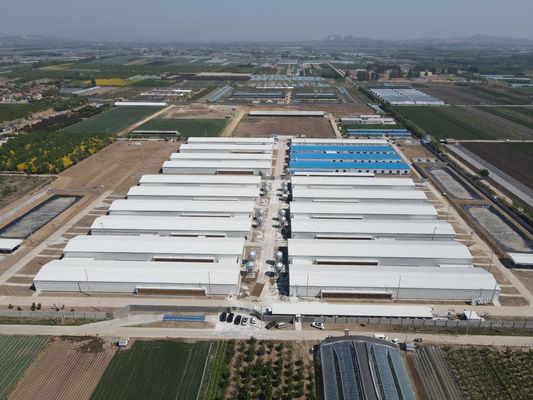 Endüstriyel Çelik Yapısal Binalar Prefabrik Çelik Tavuk Evi Özel