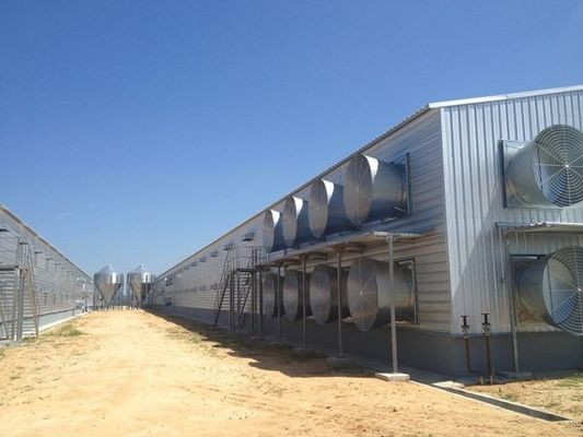 Tavuk evleri için yüksek katlı çelik bina inşaatı
