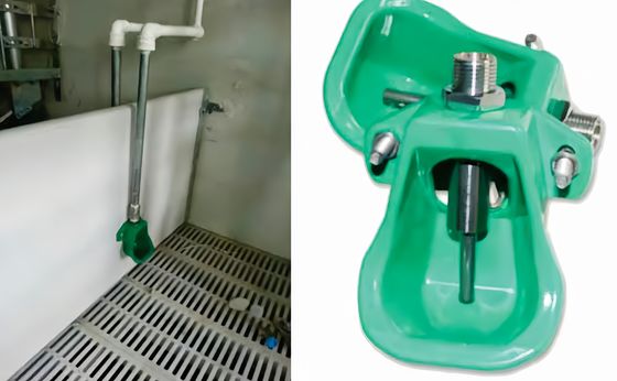 KXD Paslanmaz çelik domuz memeli içen domuzçuluk ekipmanları Hızlı montaj