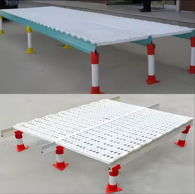 Kolay Temiz Plastik Slated Zemin Tavuk Evi Özel Renk