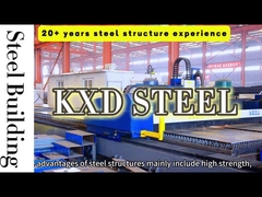 Özelleştirilebilir Çelik Şedi İnşaat Prefabrik Çelik Yapı Depo Binası